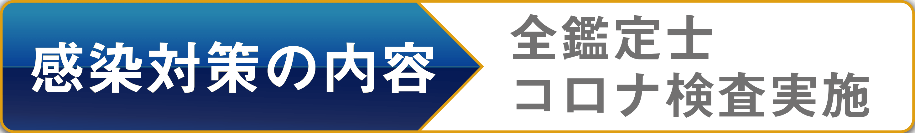 感染対策の内容全鑑定士コロナ検査実施