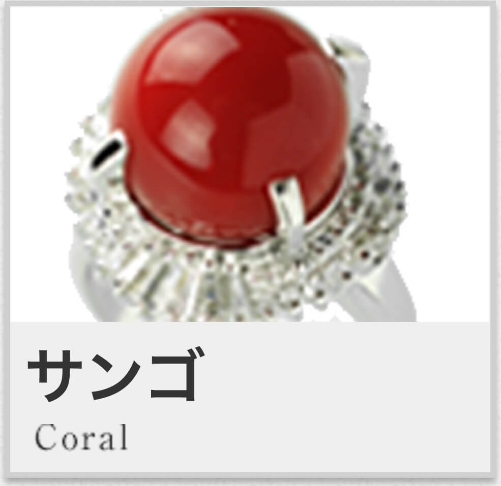 サンゴ Coral